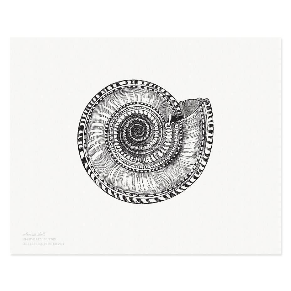 Missive - Wholesale Art Print - Solarium Shell Limited Edition Letterpress Wall Art Print1