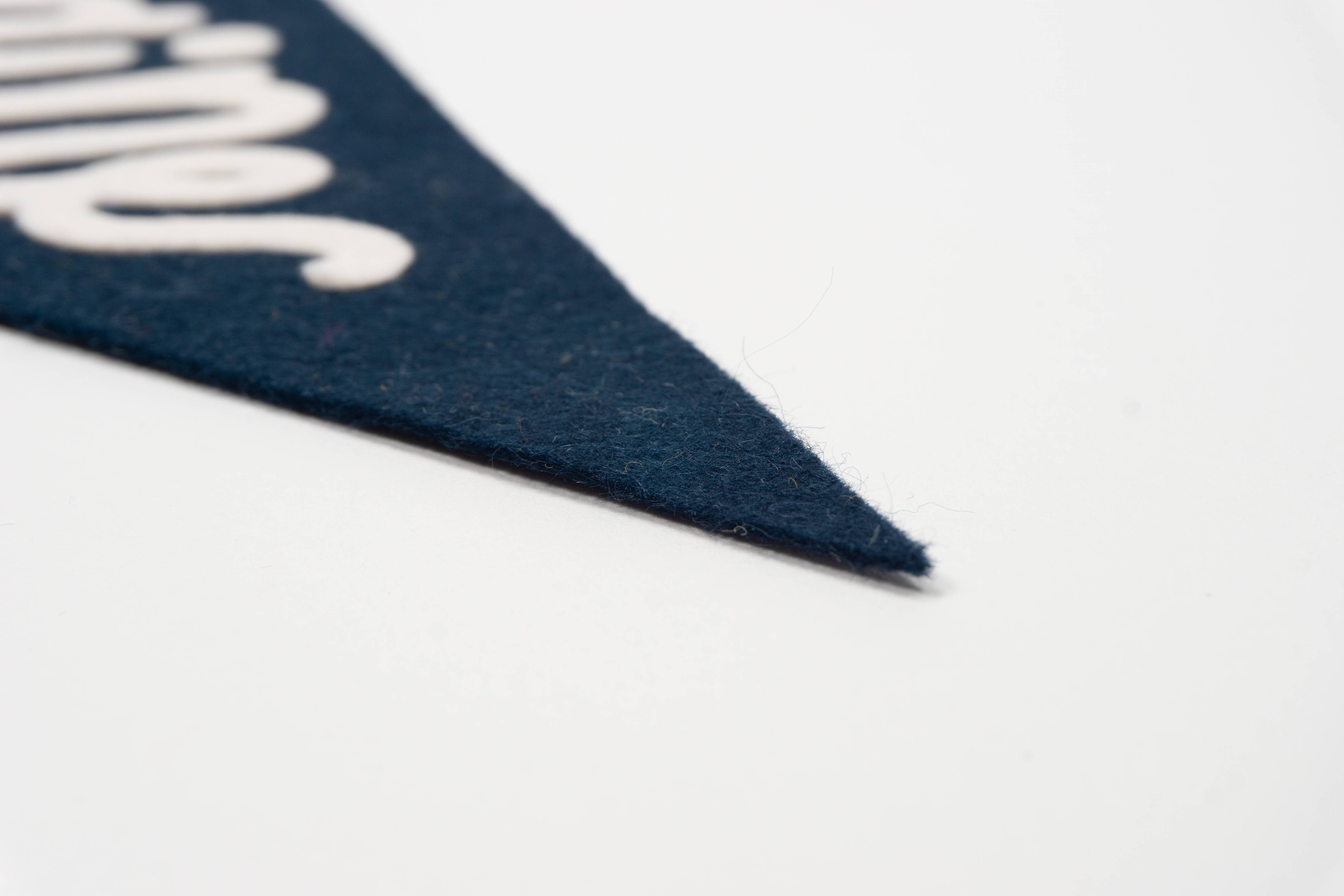 traveldashery - Wholesale Banner - maine pennant30