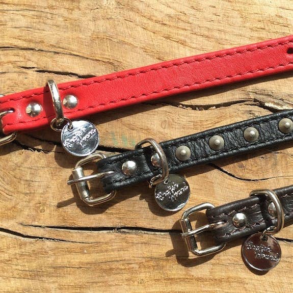 English Hound - Wholesale Gift Box - Beagle Gift For Dog Lovers