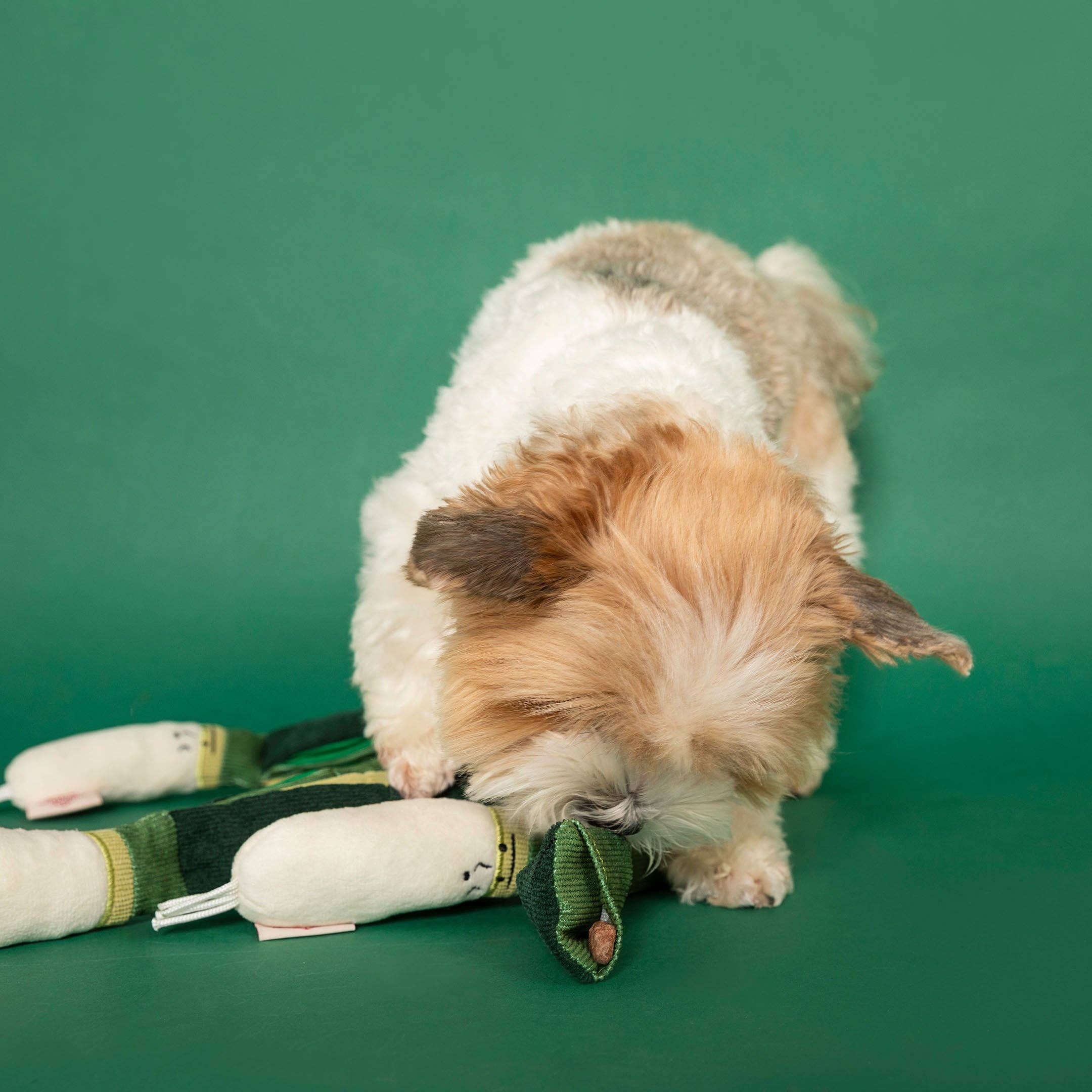 the furryfolks - Wholesale Knuffelspeeltje - Hond - Green Onion speelgoed voor neuswerk5