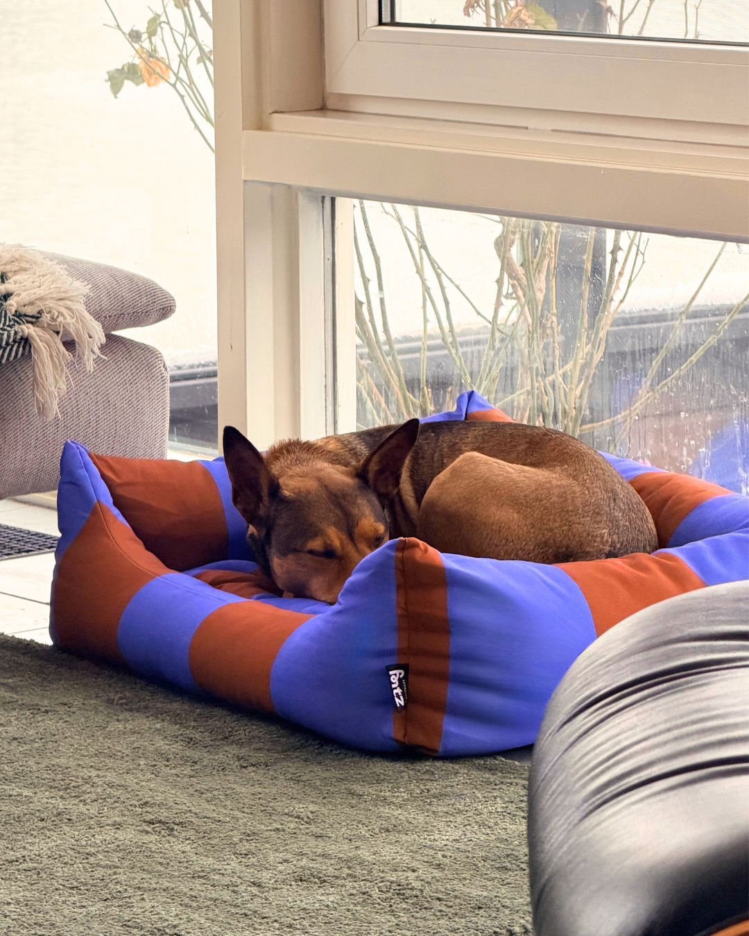 Approved by Fritz - USA - Wholesale Pet Bed - Dog - The Fritz Nest Bed - Goalgetter1