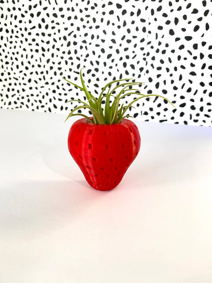 Strawberry Air Plant Holder, 3D printed strawberry, for wholesale by Love Always Leslie