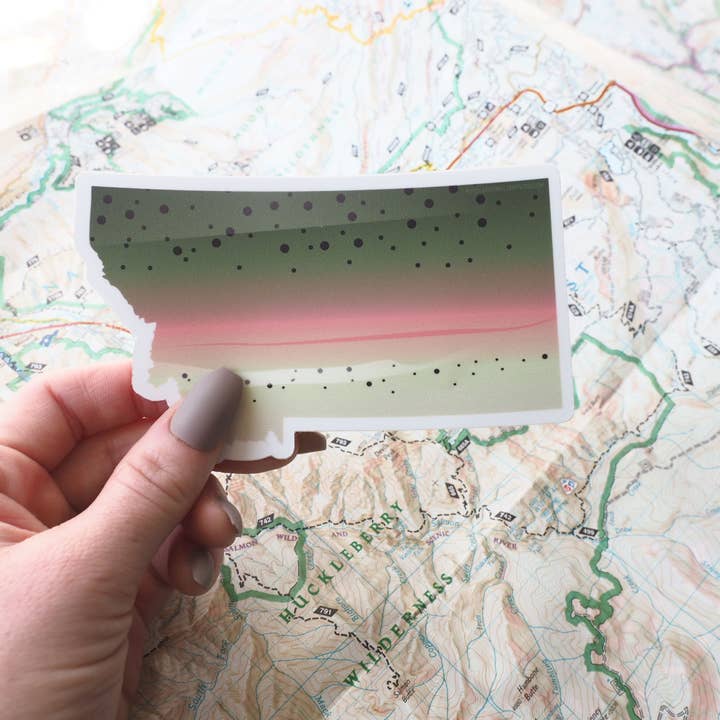 Sentinel Supply – wholesale Klistermärke – Regnbågsöring Montana Fiskedekal - Flugfiske dekal1