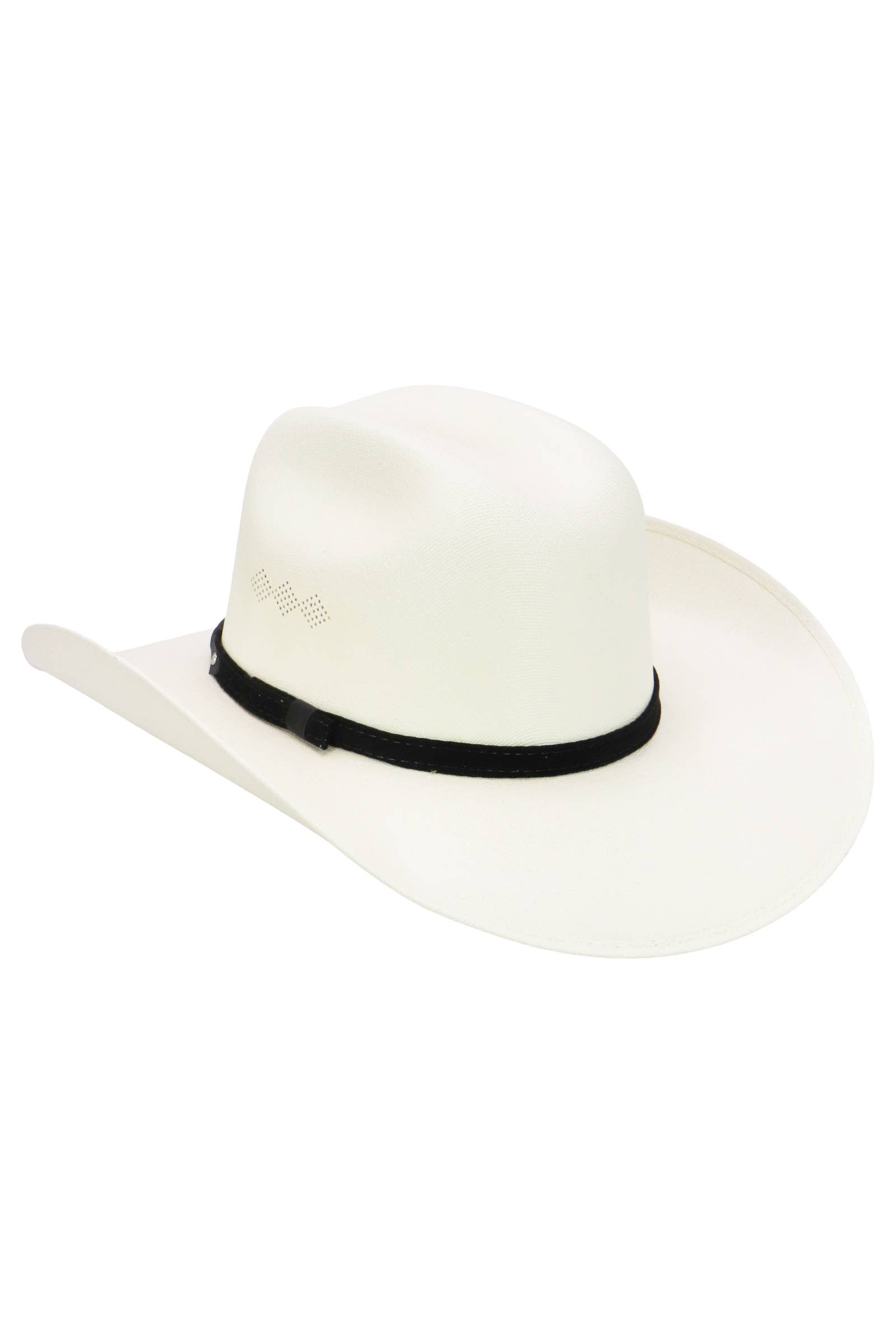 Cap Zone – wholesale Cowboy hat – Unisex – Closed Cutter Crown Elite Painted Cowboy Hat21