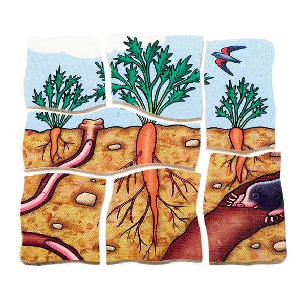 Beleduc - Wholesale Puzzle - Kids - Layer-Puzzle "Carrot" - Beleduc