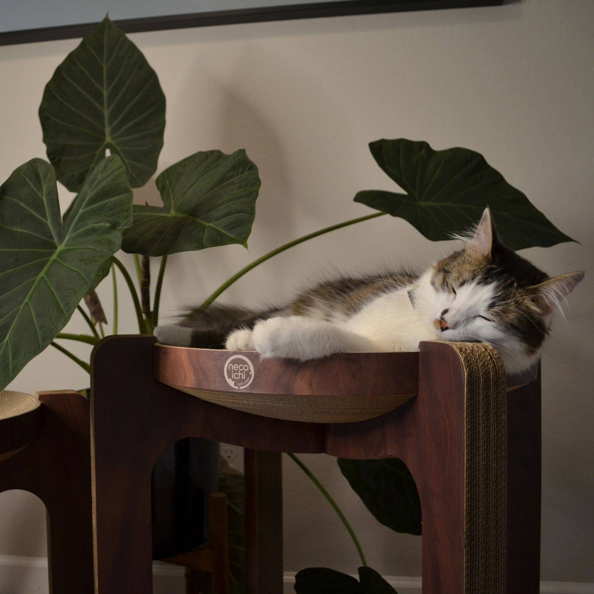 MOON-X USA, INC. – wholesale Pet scratcher – Cat – Cozy Cat Scratcher Tower XL (Dark Cherry)2