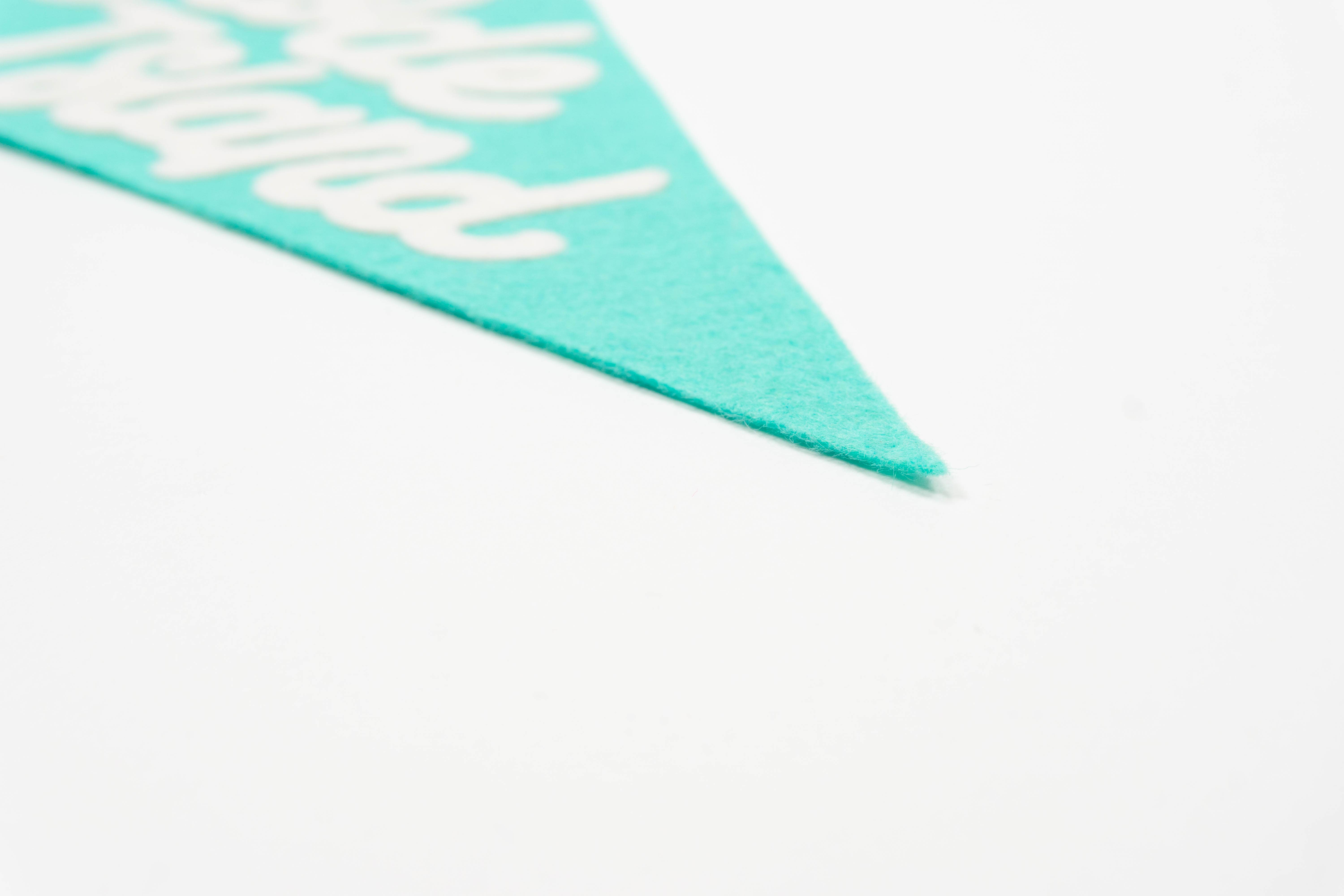 traveldashery - Wholesale Banner - rhode island pennant29