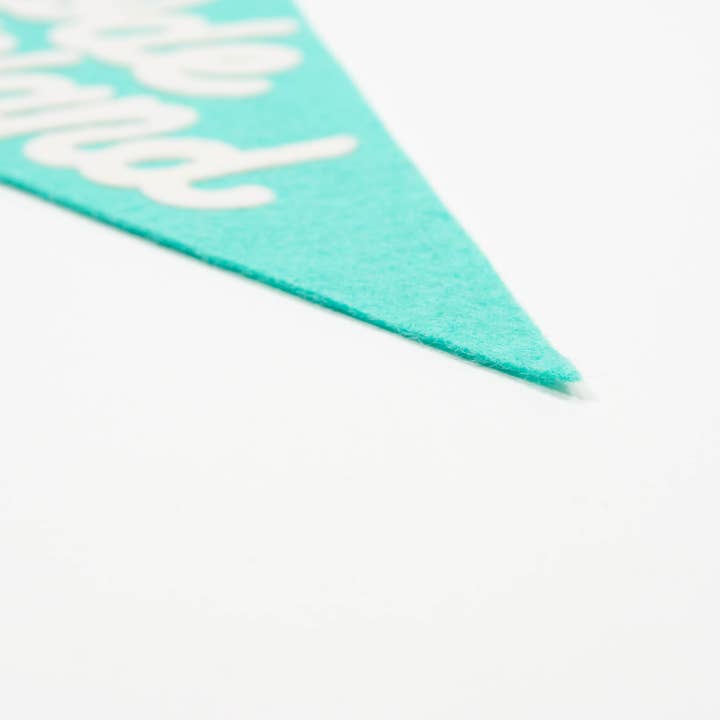 traveldashery - Wholesale Banner - rhode island pennant29