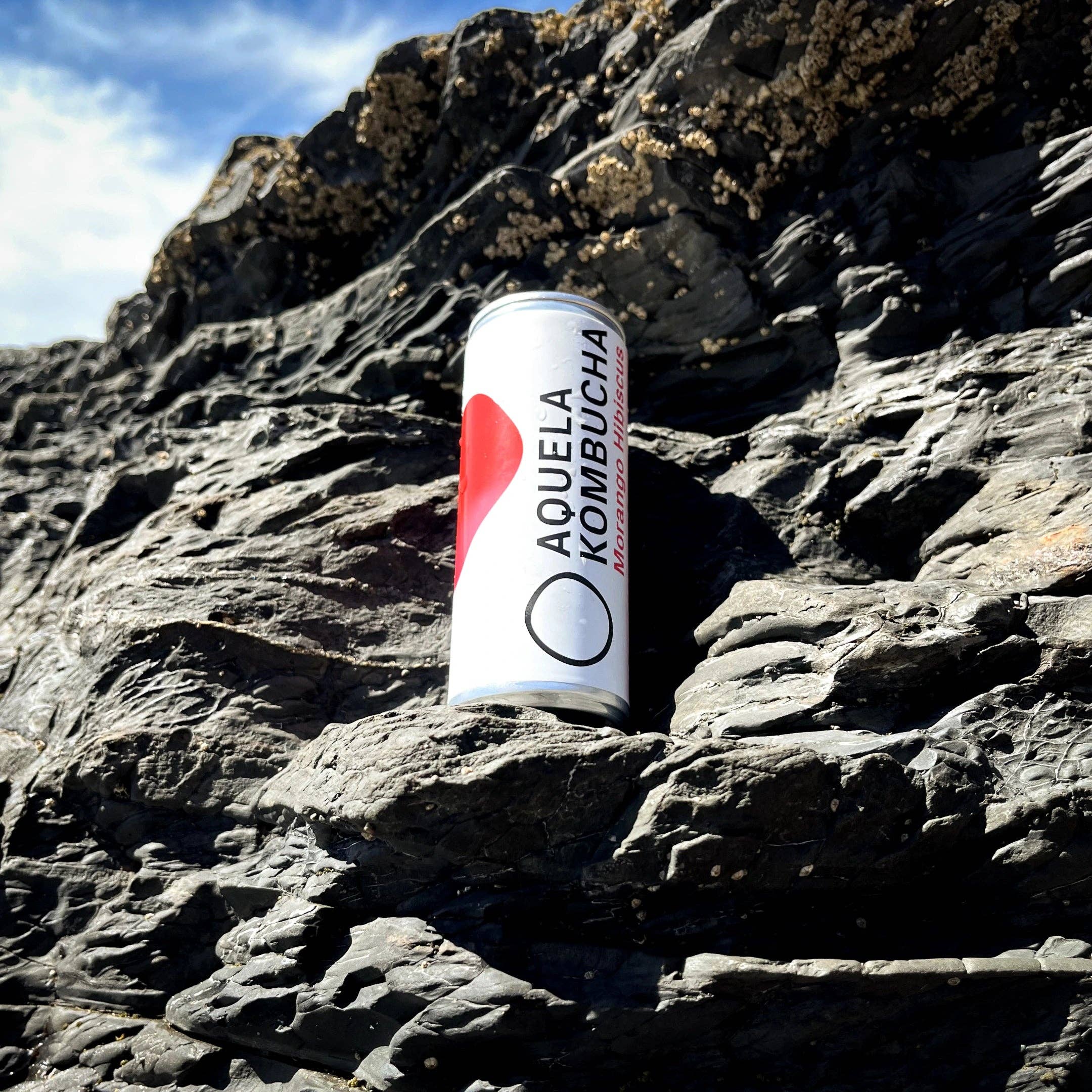 Geocakes - Wholesale Kombucha - That Organic Strawberry Hibiscus Kombucha - 250ml Can3