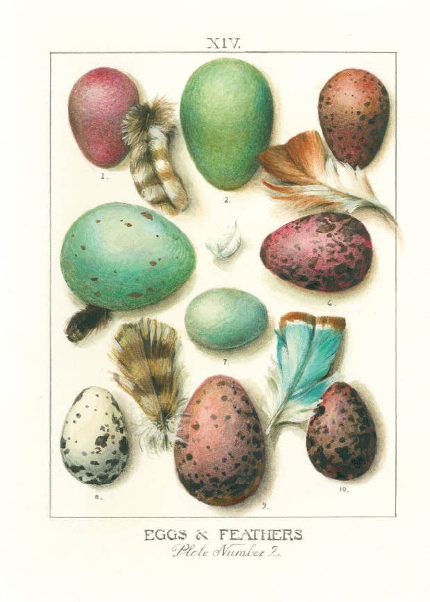 Bomo Art Budapest - Wholesale Everyday Greeting Card - Greeting Card + Envelope24