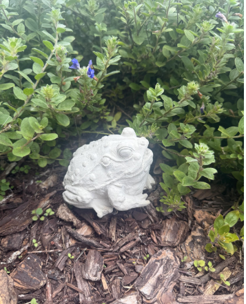 Backyard Stone Art – Ornamento/decoração ao ar livre por atacado – Estátua de Jardim de Sapo de Betão, Jardim do Sapo de Pedra,7