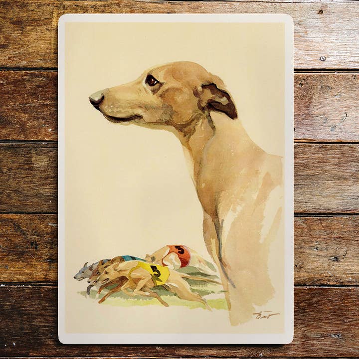Whippet Dog Portrait Racing Metal Sign Plaque for wholesale by The British Metal Signs Company