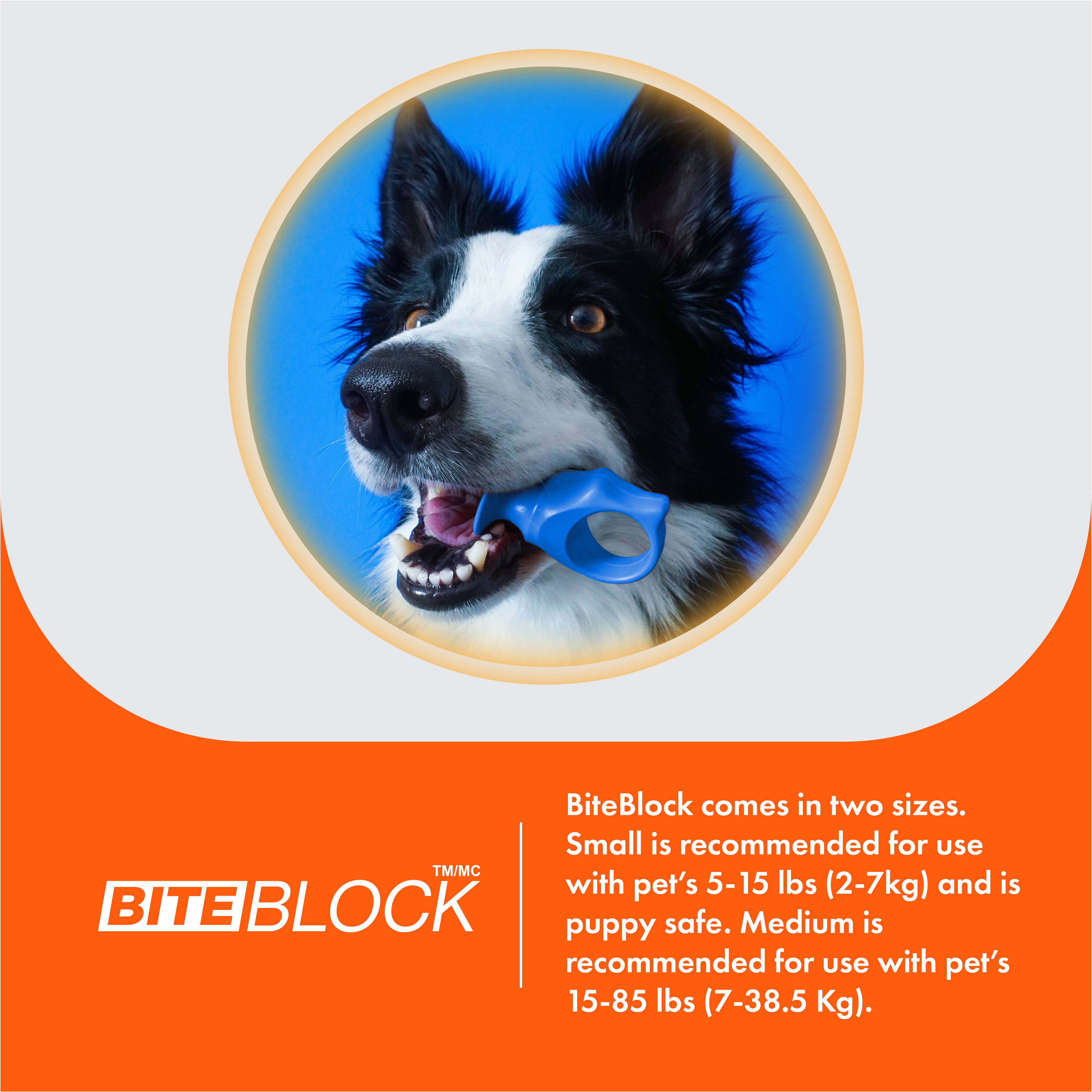 Keen Products Inc. - Vente Produit de toilettage – chien - L'aide à la brosse à dents PawReady BiteBlock permet d'accéder aux dents des animaux4