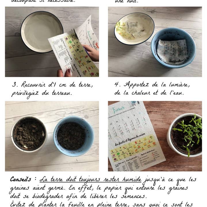 Des Mots Qui Fleurissent - Wholesale Mother's Day Card - Card to plant - Happy Mother's Day2