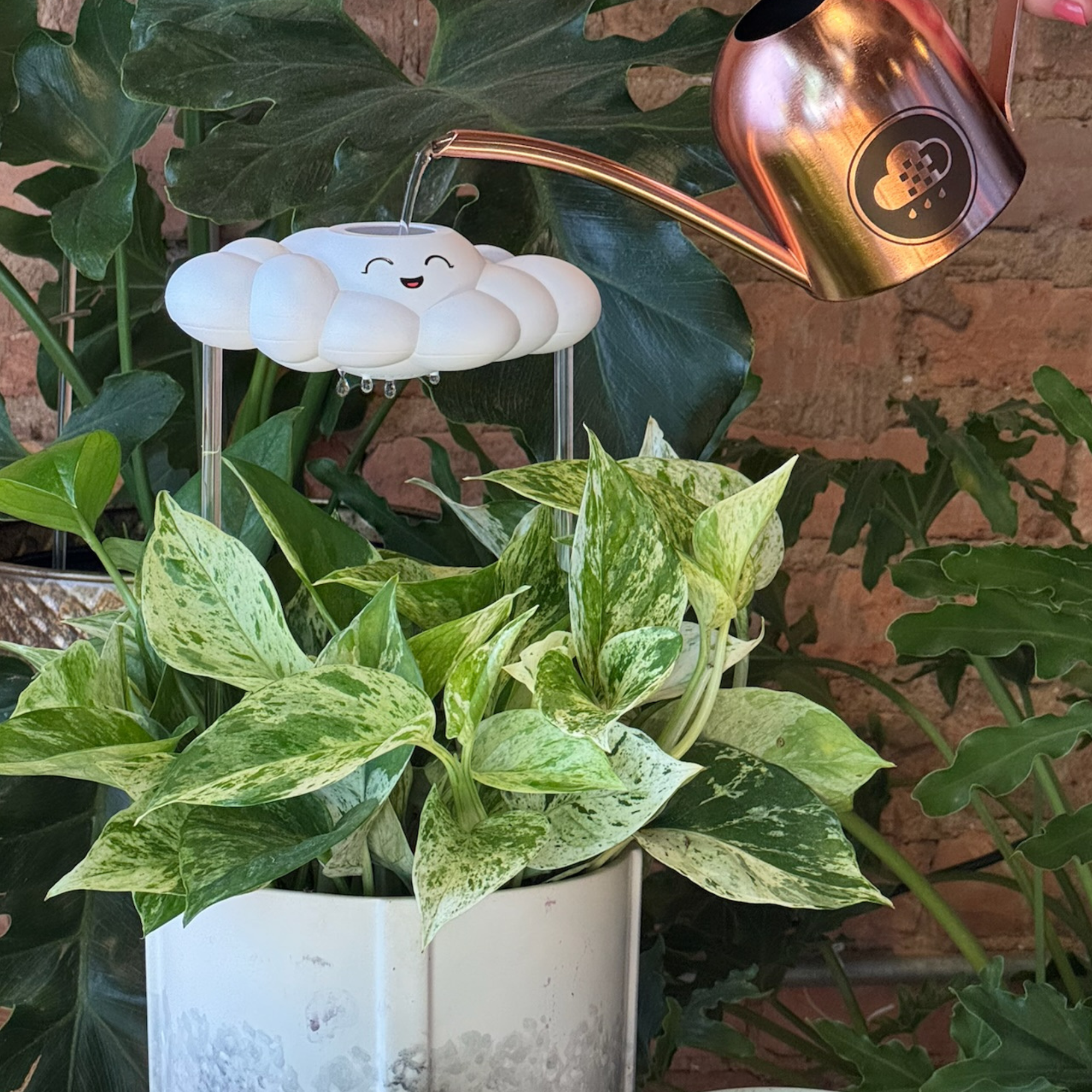 The Cloud Makers - Venta al por mayor Regaderas - Chelsea Serie 0017