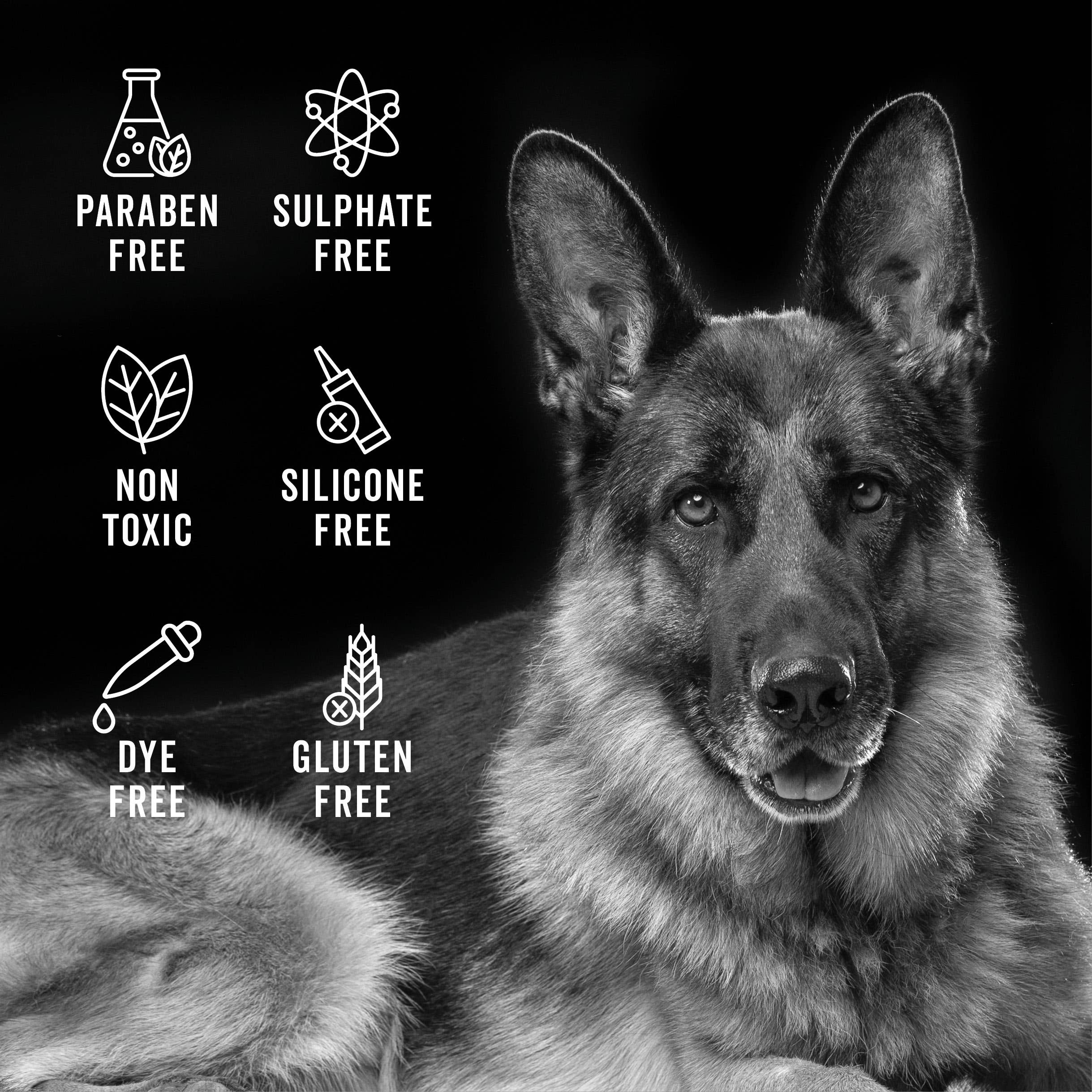 PRIDE+GROOM - Wholesale Pet Shampoo - Dog - GALLON SAMPLE PACK SPECIAL2