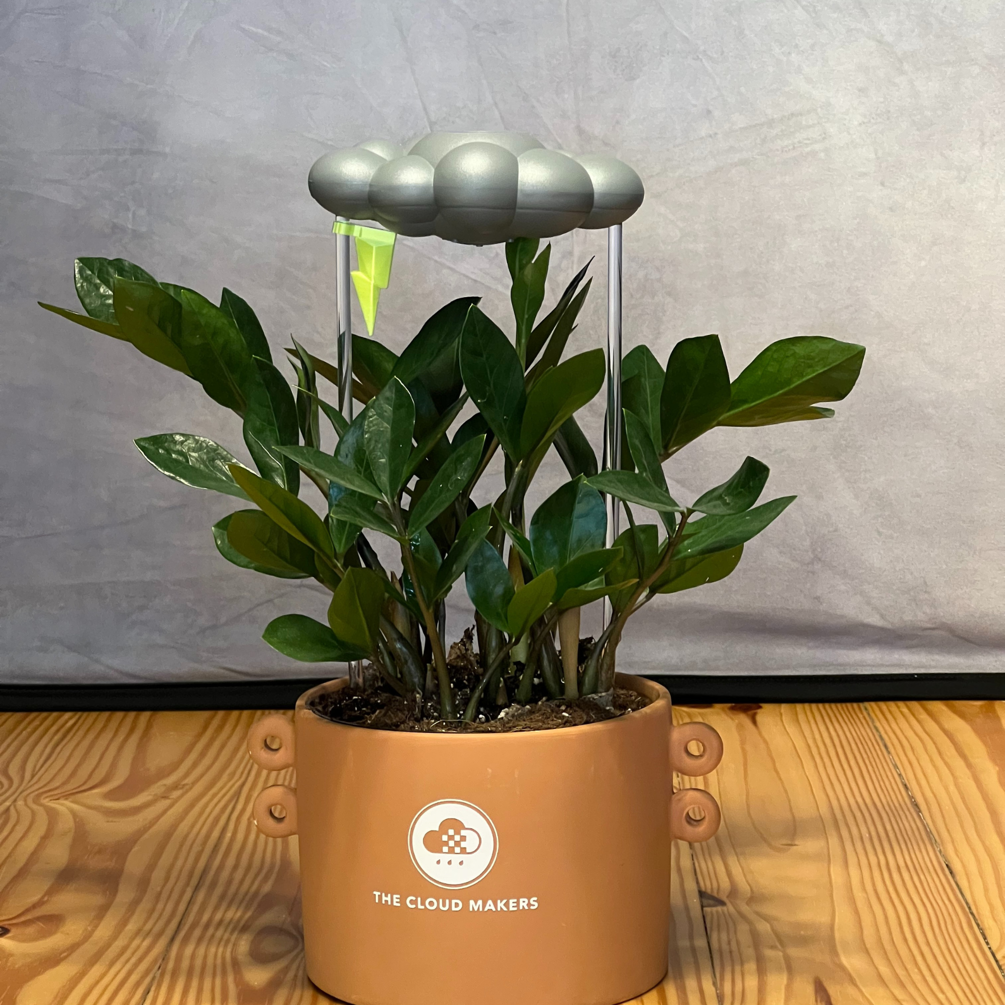 The Cloud Makers – Engroshandel Plantekrukke – Neon Lightning Bolt Charm til dryppende regnskyer 11