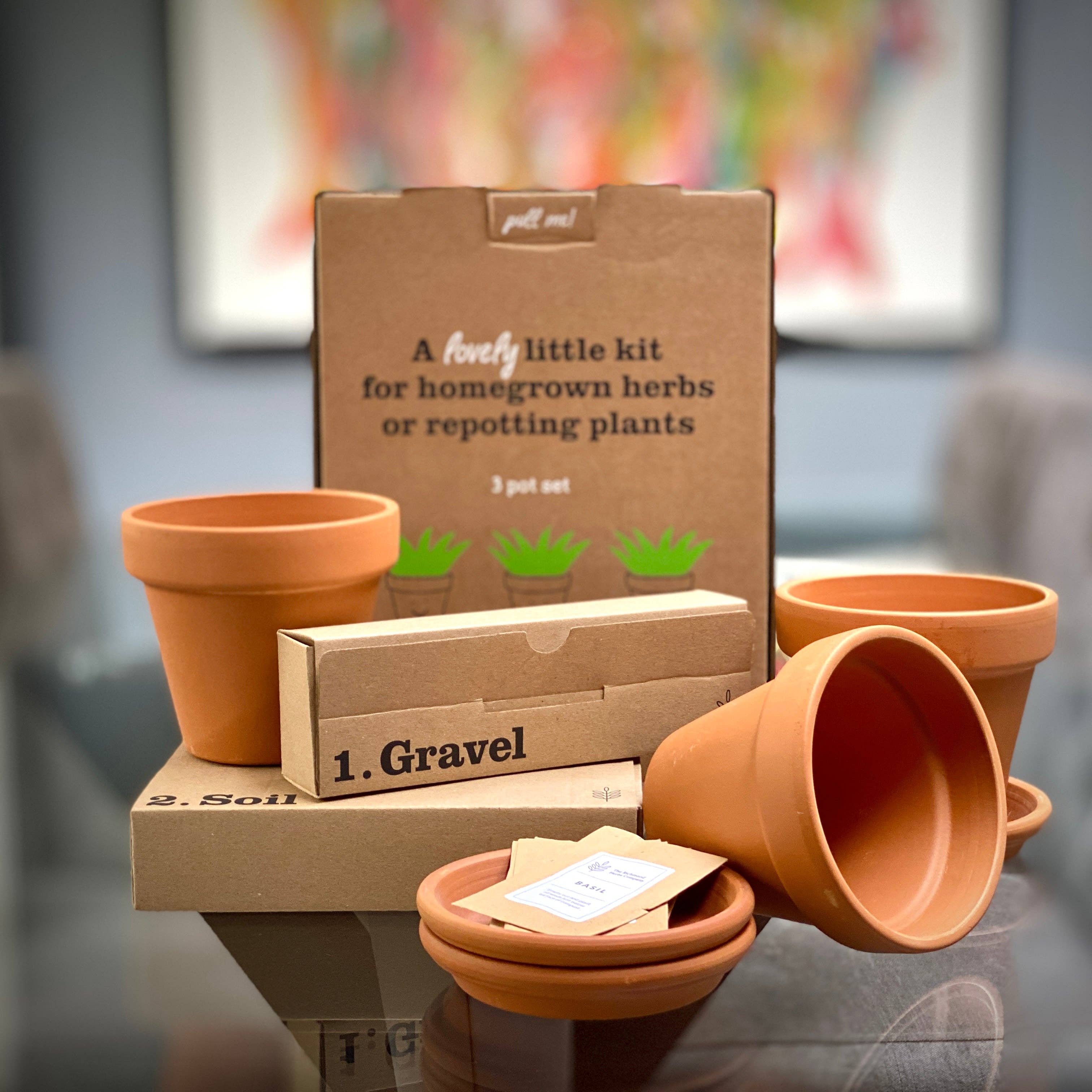 The Terracotta Herbs Company - Vente Graines de plantes - Kit d'herbes en terre cuite6