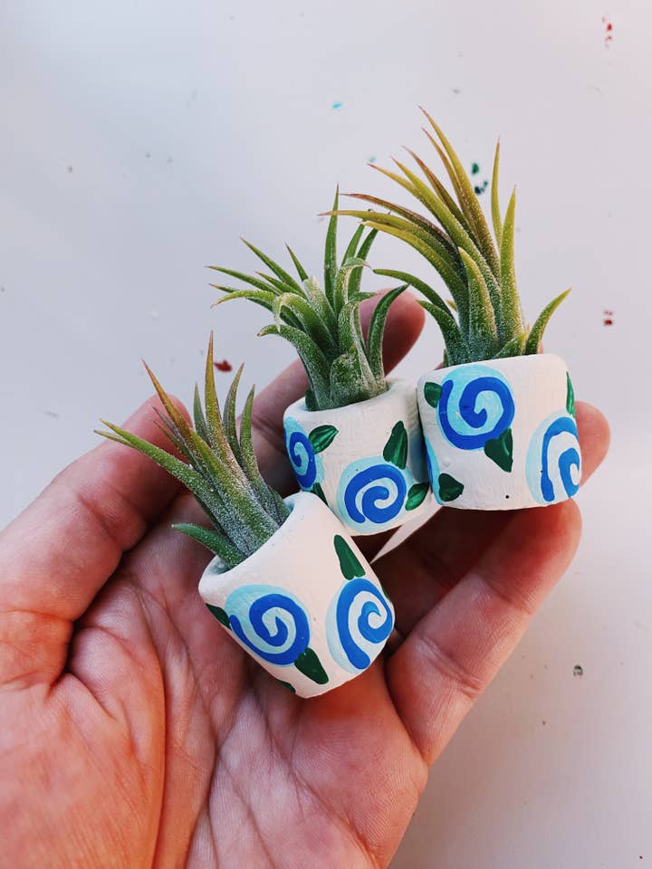 The Forget Me Not Mini Planter for wholesale by O'Berry's Succulents