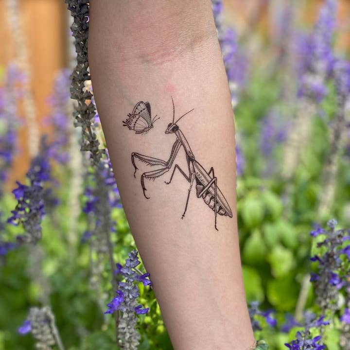 NatureTats - Wholesale Temporary Tattoo - Praying Mantis Temporary Tattoo1