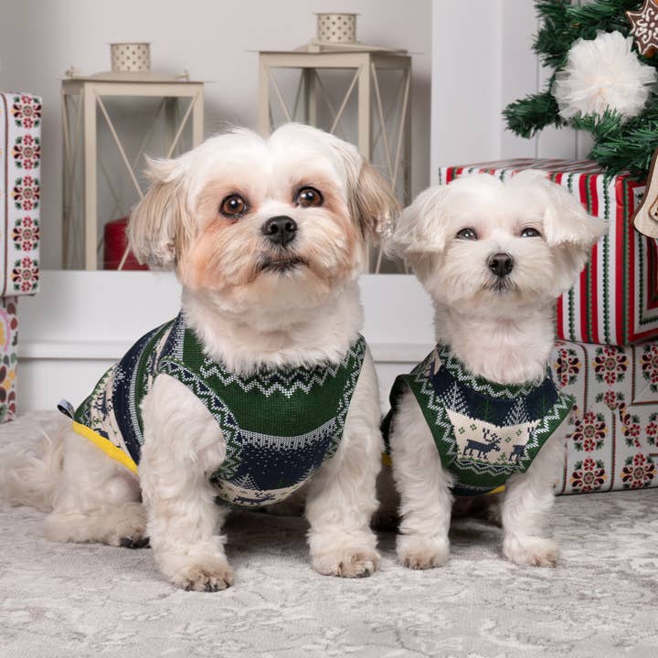 Groc Groc - Wholesale Pet Sweater - Dog - Groc Groc Willy Christmas dog sweater - 2 colors11