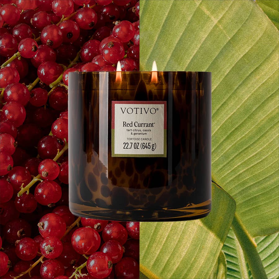 Votivo - Wholesale Jar/Filled Candle - Red Currant Tortoise Candle - Elegant Tortoiseshell Candle4