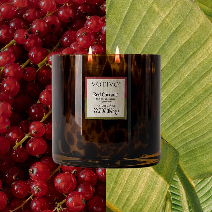 Votivo - Wholesale Jar/Filled Candle - Red Currant Tortoise Candle - Elegant Tortoiseshell Candle4