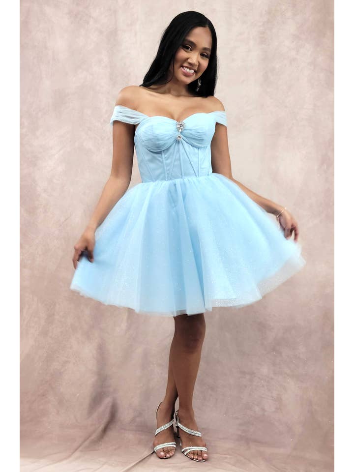 Chicas - Wholesale Dress - Women's - Short Off The Shoulder Tulle Dress With Brooch35