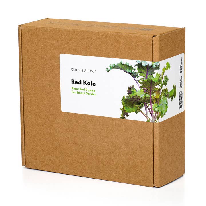 Gousses de plantes de chou rouge pour la vente par Click and Grow