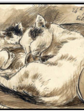 Chats endormis pour la vente par Just Write Arts