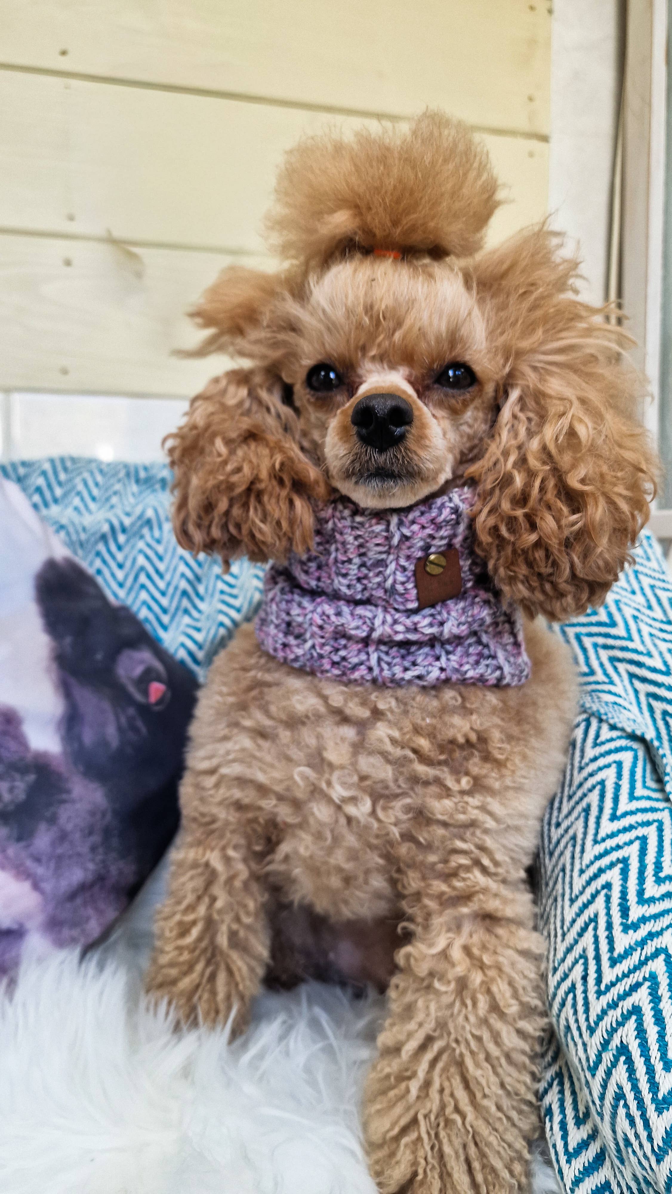 Pet Pooch Boutique - Wholesale Pet snood – Dog - Heather Bloom Roll Top Dog Knitted Snood- UK made/autumn3