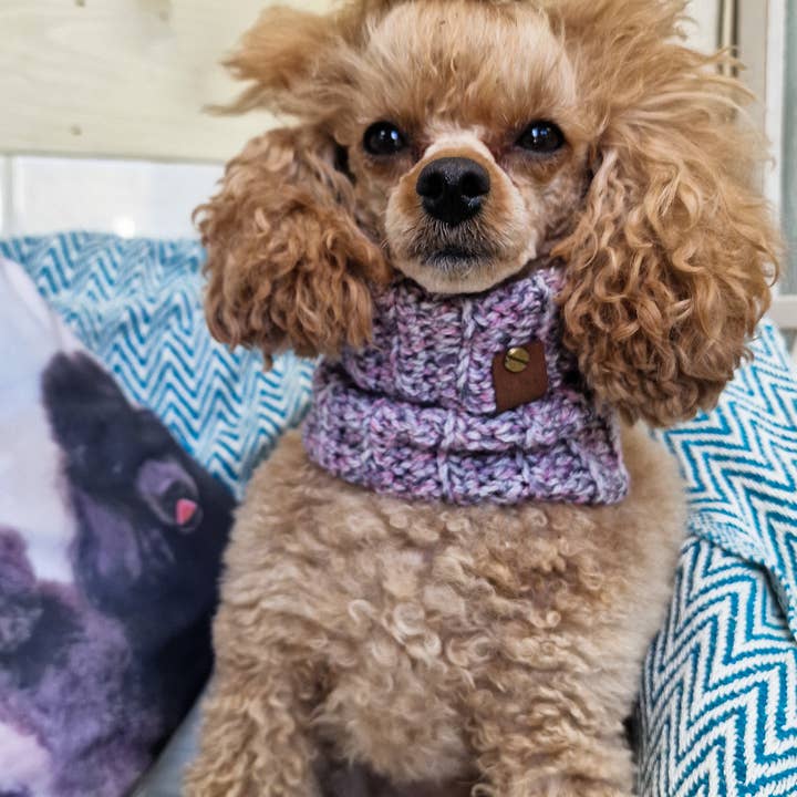 Pet Pooch Boutique - Wholesale Pet snood – Dog - Heather Bloom Roll Top Dog Knitted Snood- UK made/autumn3