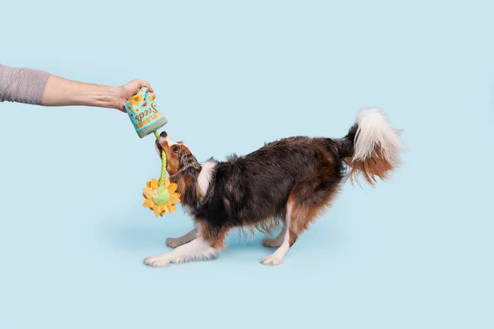 Pet Palette Distribution - Wholesale Pet Plush Toy - Dog - BARK Funflower Seeds Rope Dog Toy3