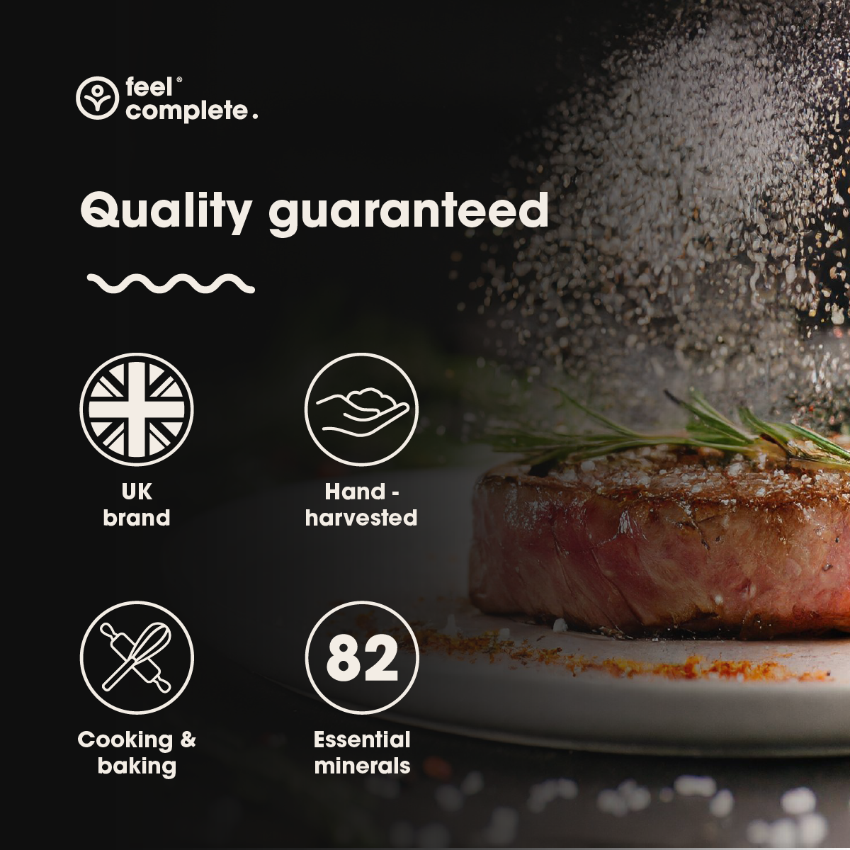 Feel Complete - Wholesale Salt - Celtic Sea Salt (Fine & Dry)8