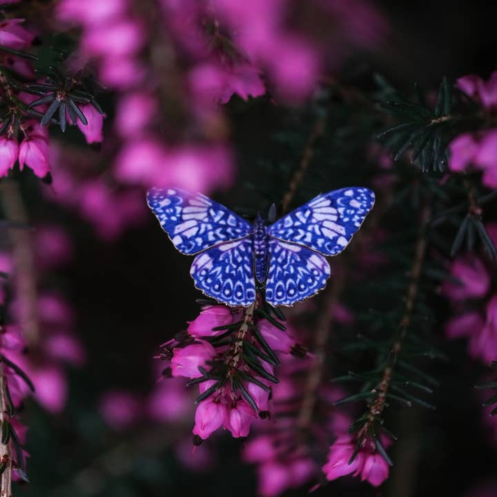 Moth and Myth - Wholesale Craft Supplies - ’Galaxy' Micro Moth & Butterfly Collection