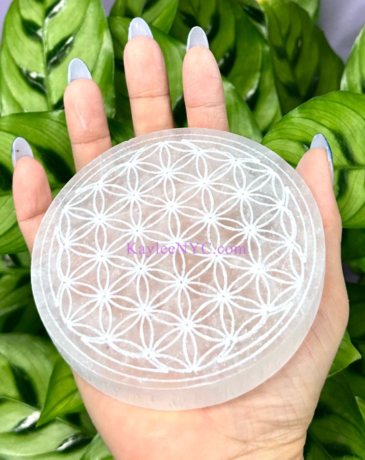 KayleeNYC – Großhandel Kristall-Ladeplatten – Natürlicher Selenit, auch bekannt als Satinspat, runde Ladeplatte1