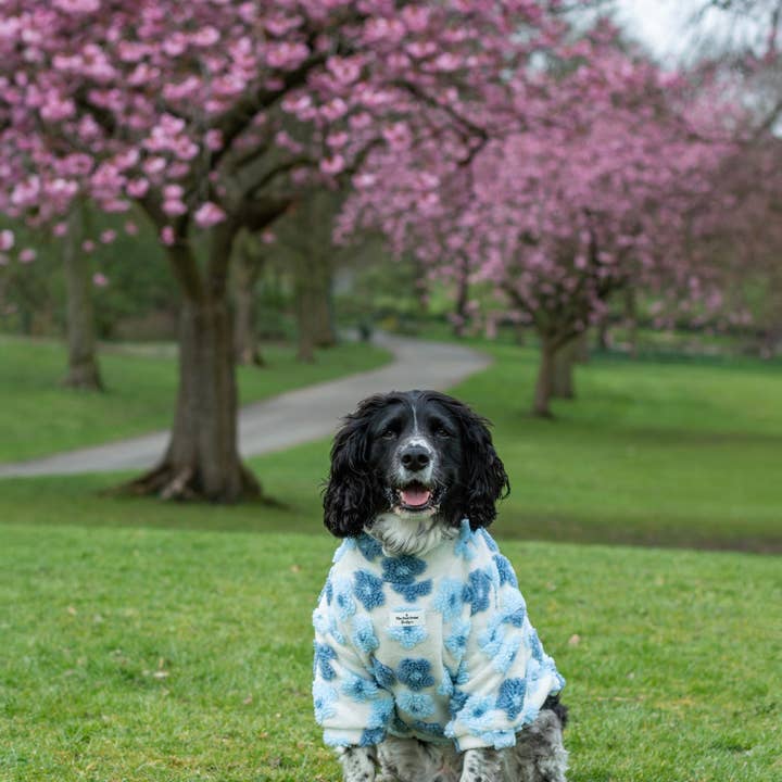 The Paw Print Boutique - Wholesale Pet jumper – Dog - The Bluebell Blue Floral Fleece14