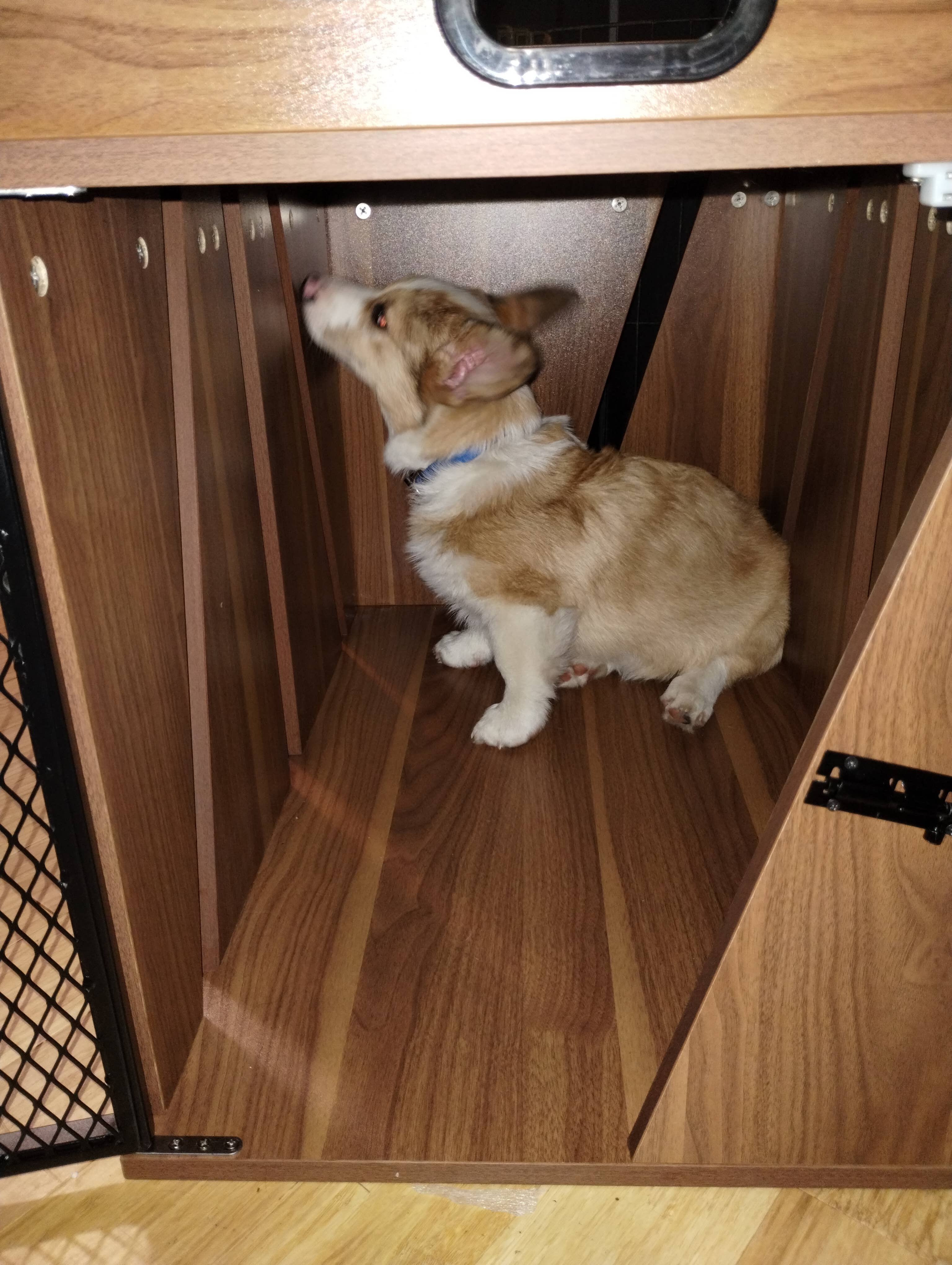 Designer Pet Products, LLC - Wholesale Pet Carrier - Cat/Dog - Dog Crate ,Dog Furniture ,Lucky Kennels Penny19