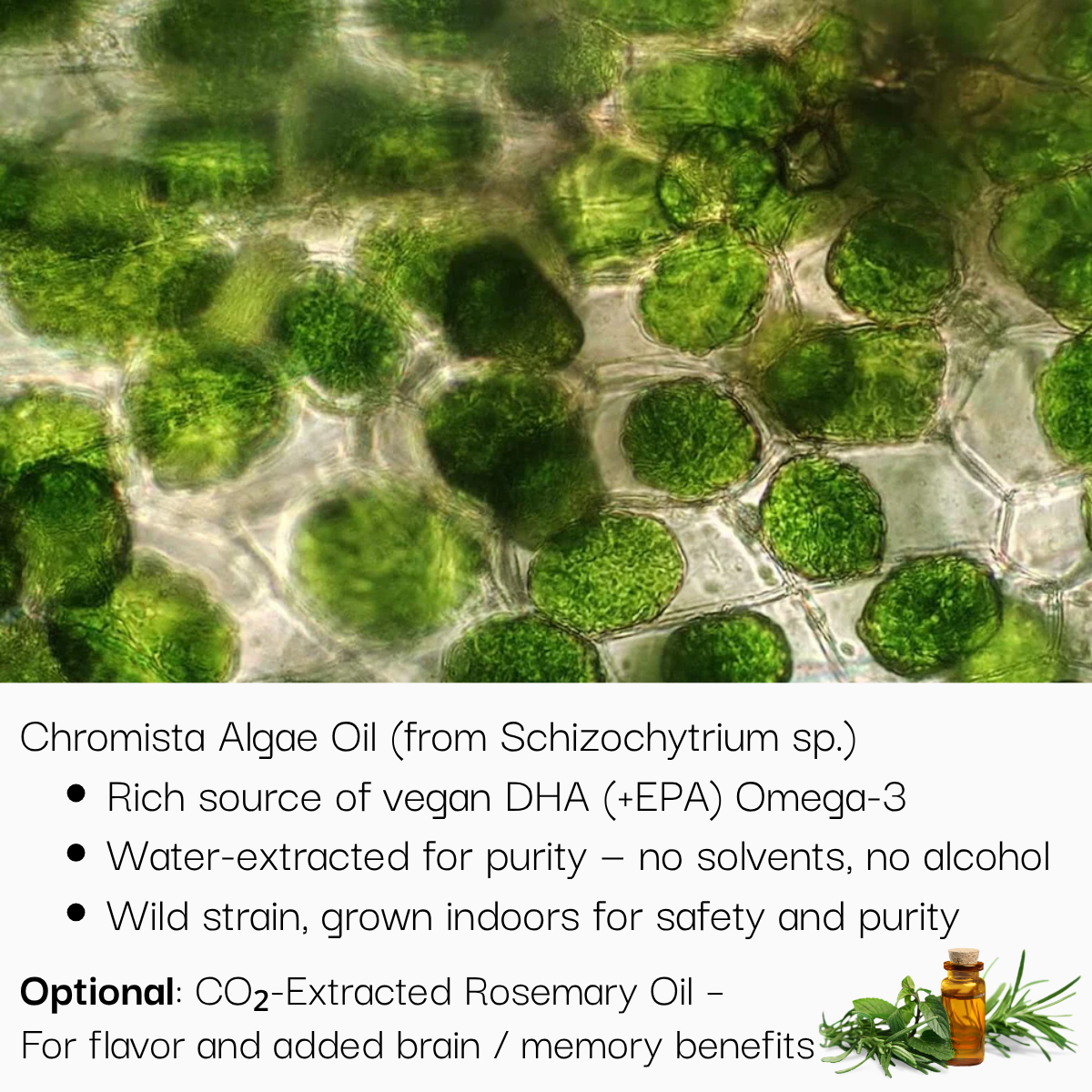 Schizandu Organics - Wholesale Oral Supplement/Vitamin - 100% Pure Omega-3 DHA Vegan Algae Oil, Unflavored6