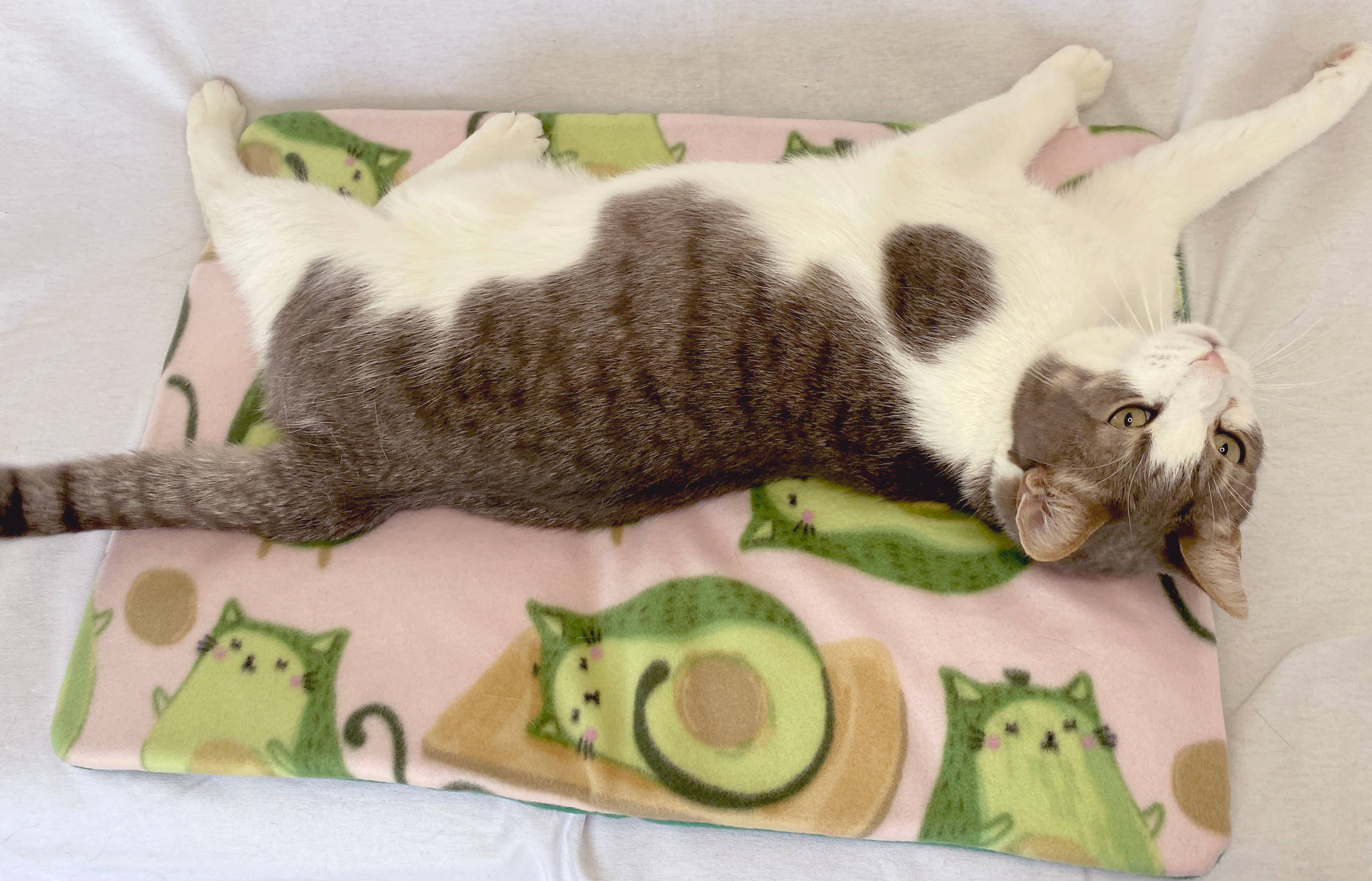 Screaming Pickles – cama - Gato e cão por atacado – Cama artesanal para bichos/tapete Abacado Cats Print2