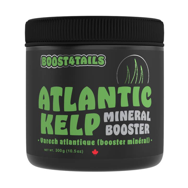 Boost4Tails Atlantic Kelp - Torradeira Mineral por atacado de Marnoch Pet Supplies