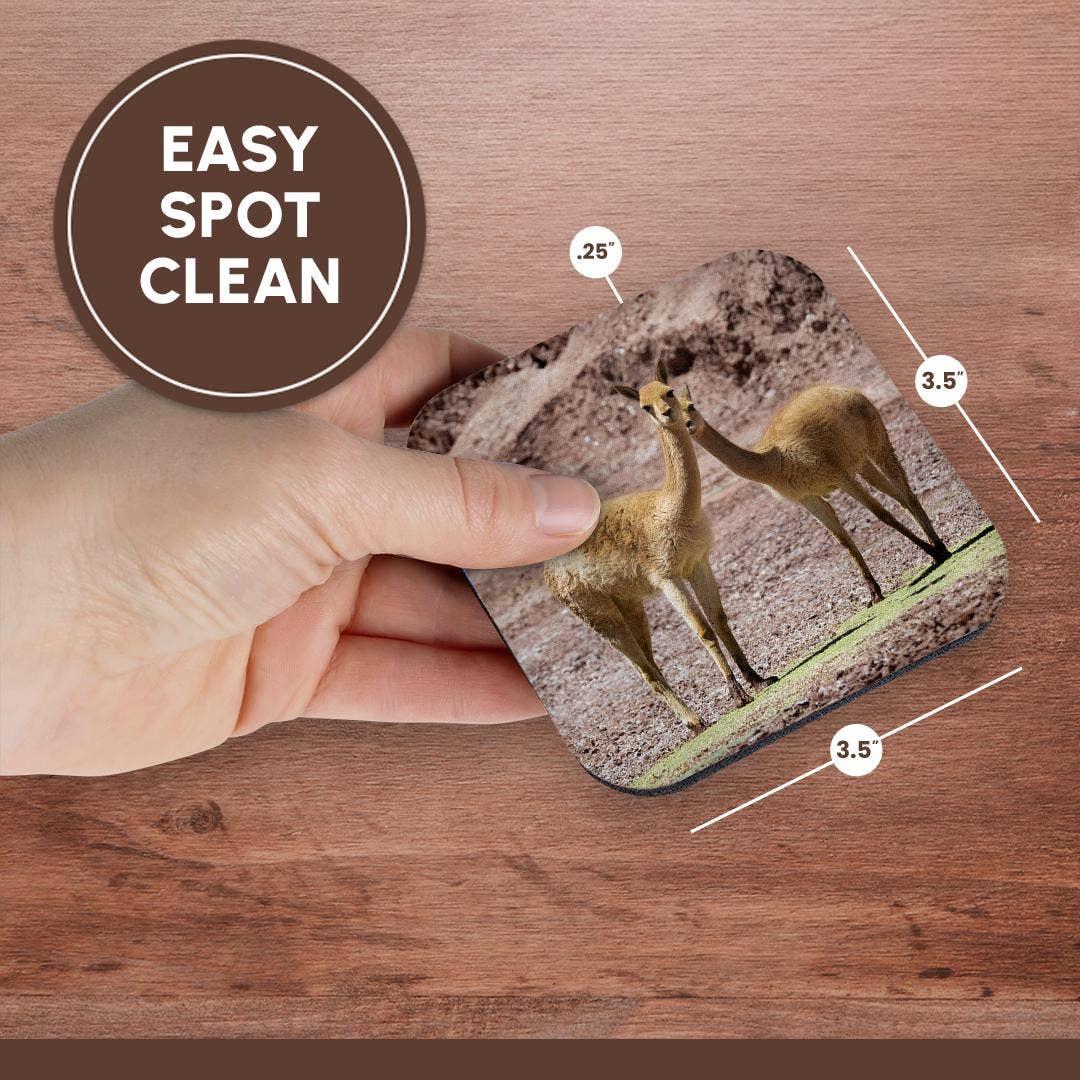 3dRose - Wholesale Coasters - 3dRose, Vicuna in the Altiplano of Argentina near Tolar Grande., Coaster13