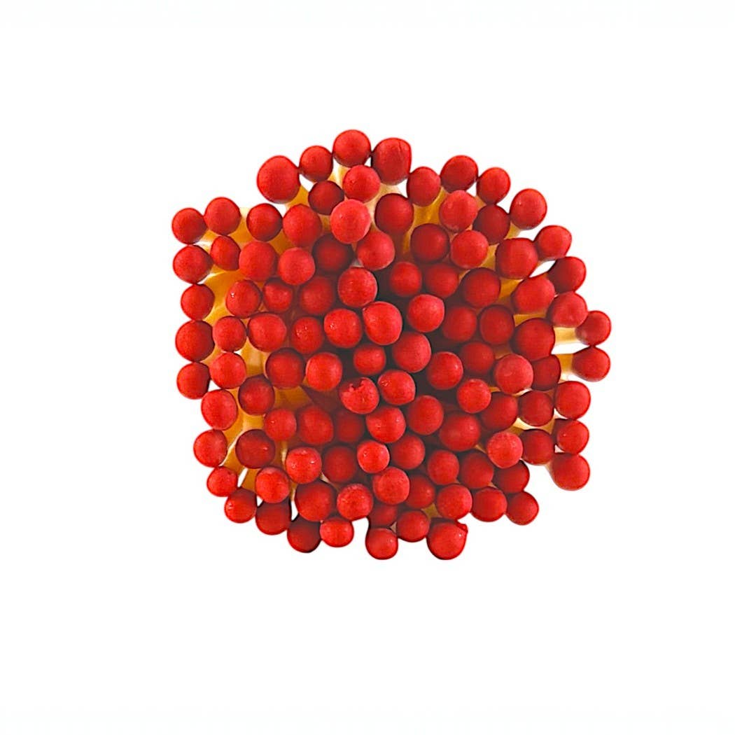 CJ Gift Goddess - Vendita all'ingrosso Portafiammiferi - 3" Fiammiferi in Campana con Accendino a Cuore con 25 Fiammiferi Colorati21