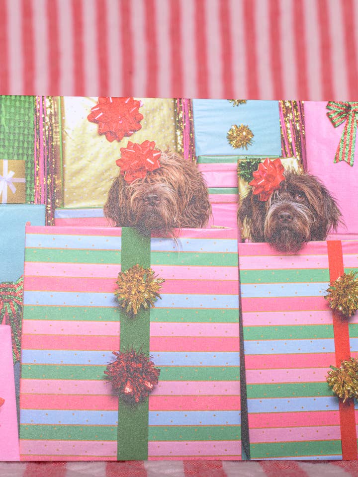 Christmas Holiday Card Cute Shaggy Dog Presents Photography for wholesale by The Velvet Big Top