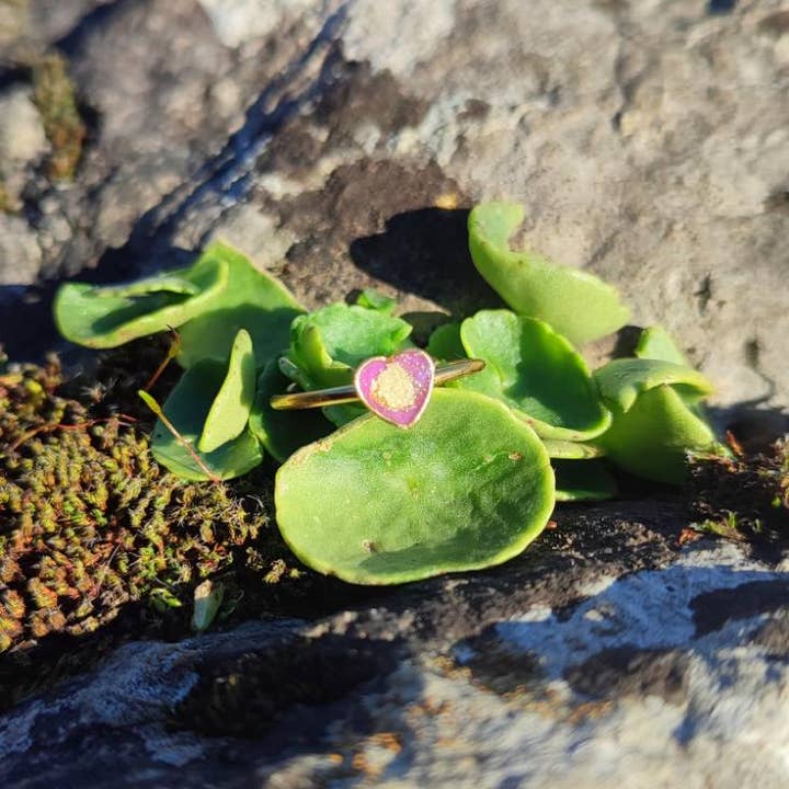 Lille Violet Hjerte Guld Hjerte Ring 💜Unik 18 karat Guldbelagt 5mm for engroshandel hos Maroussia Bijou
