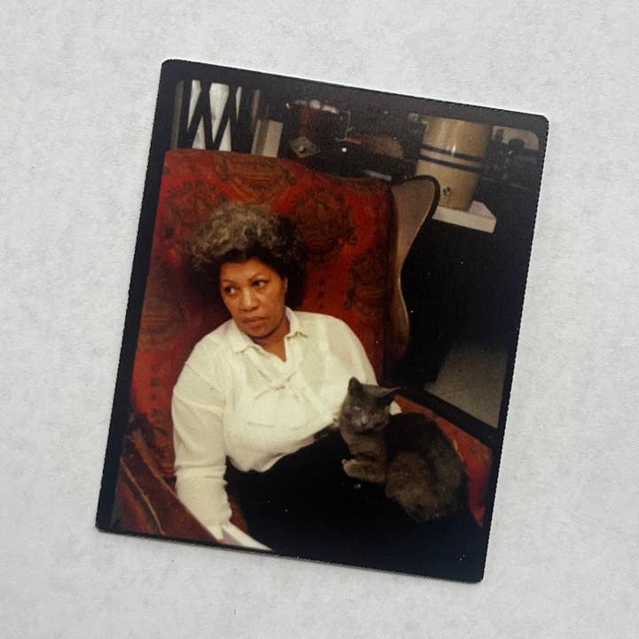 Toni Morrison Cat Portrait Kiss-Cut Waterproof Sticker for wholesale by Literary by Ava