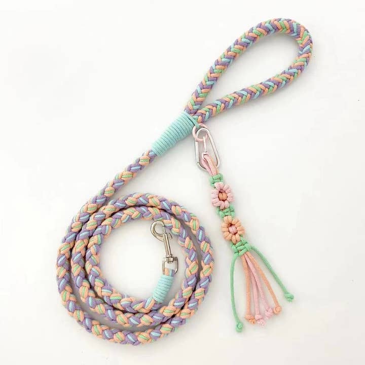 Cheerhunting - Wholesale Pet Leash - Dog - Loofie - 59in Pastel Braided Dog Leash