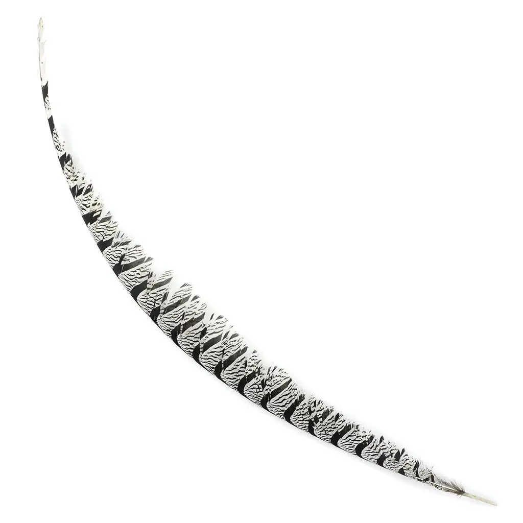 Zucker Feather Products – wholesale Feathers – Lady Amherst Pheasant Tail Natural0