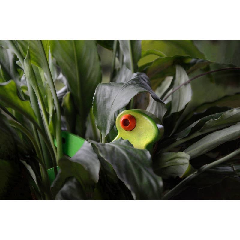 BAJO WOODEN TOYS - Wholesale Wood Toy - Kids - Wooden Cicada - Pull Back Toy3