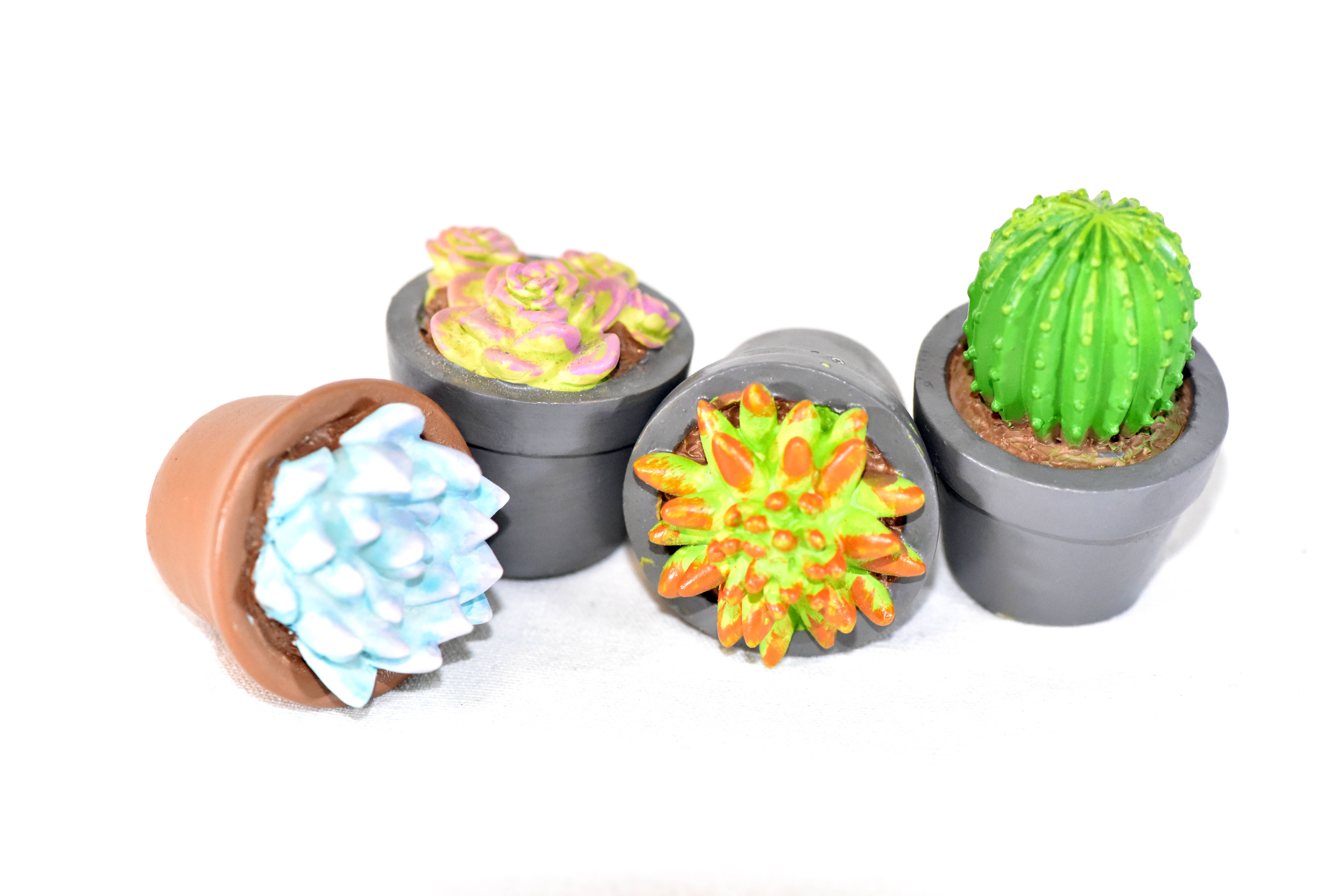 G & F Products - Wholesale Succulent - Garden Miniature Succulent, 4 pc10